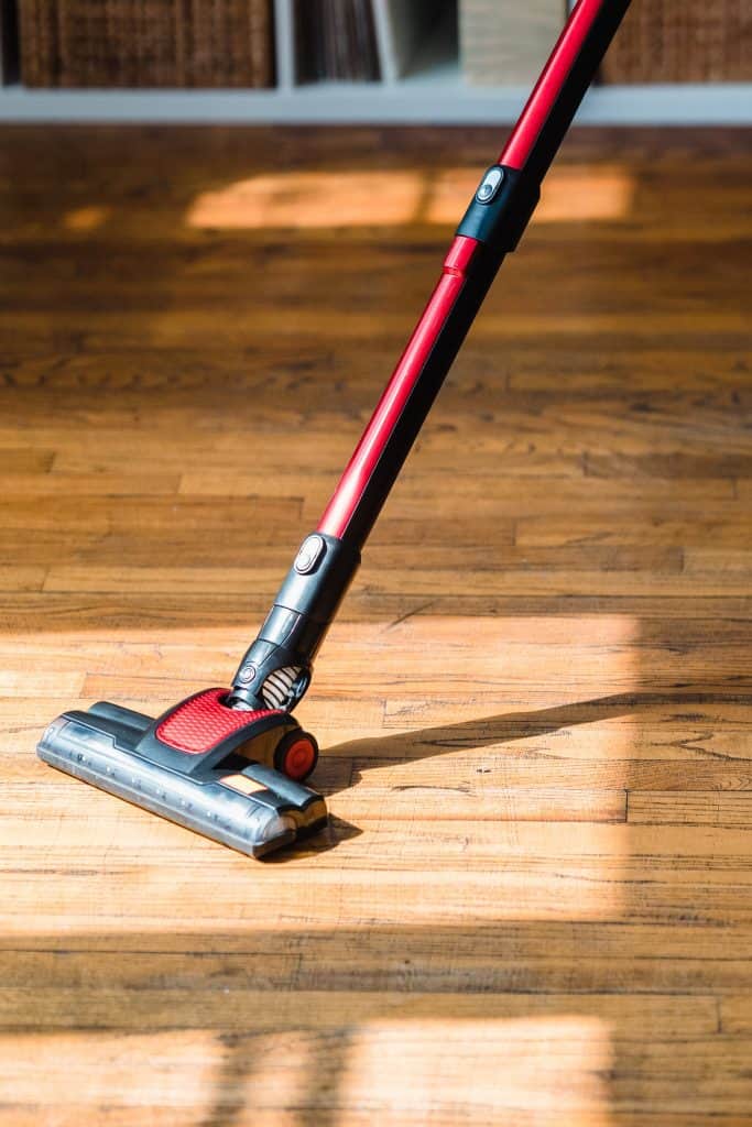 The 9 Best Portable Stick Vacuums for Pet Hair (2022) Ray Swanson